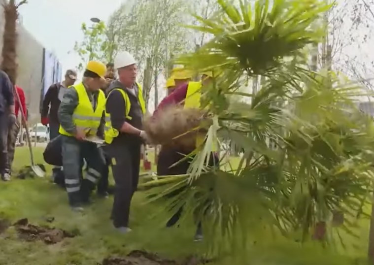 Robert Negoiță a rămas fără permis. Primarul Sectorului trei a fost prins conducând pe contrasens