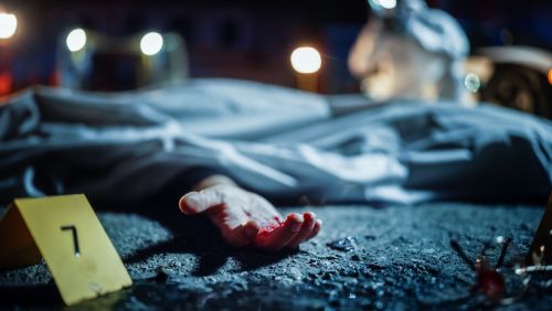 Descoperire macabră în Dâmboviţa: Cadavrul unei persoane găsit pe câmp lângă autostrada A1