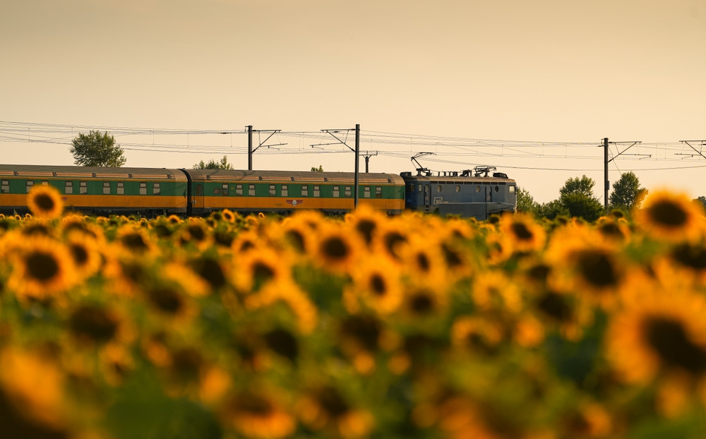 Descoperă cum arată noile trenuri care te duc direct la mare