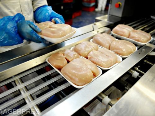 Cât ar costa un kilogram de piept de pui după reducerea prețurilor