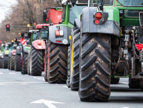 Impactul importurilor de zahăr din Ucraina asupra agricultorilor români