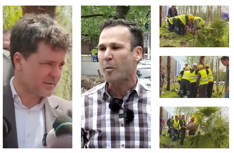 Războiul palmierilor de la Unirii. Nicușor Dan și Robert Negoiță, circ în centrul Bucureștiului. „Nu l-am văzut să planteze măcar o păpădie”