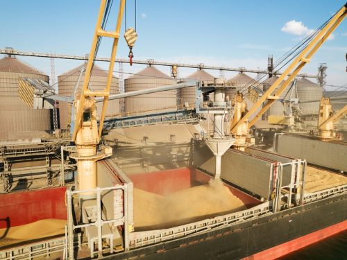 România, Bulgaria, Ungaria, Slovacia și Polonia s-au aliat pentru un ajutor mai mare pentru fermieri. Ce măsuri propun pentru cerealele ucrainene