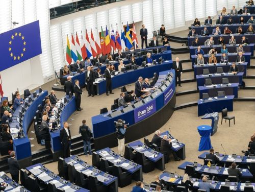 Ramona Chiriac se retrage din cursa pentru europarlamentare