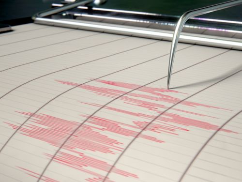 Cutremur azi în România, în zona Vrancea, județul Buzău. Ce magnitudine a avut seismul