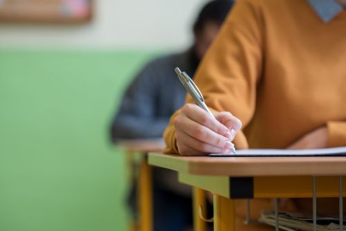 Note Bac 2024: Afișare pe edu.ro și în licee