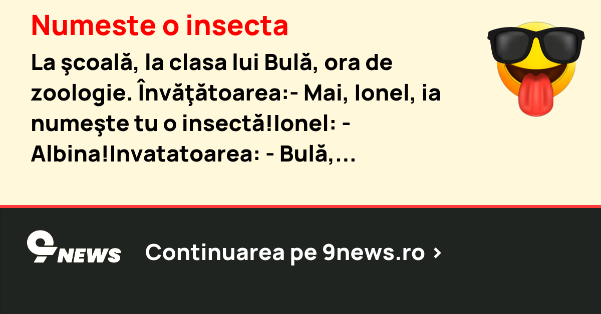 Numeste o insecta
