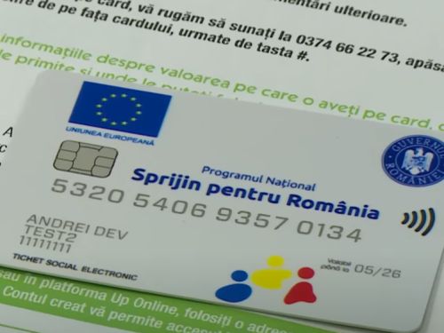 Vouchere noi pentru români. Cine poate beneficia și ce valoare vor avea tichetele pentru activitățile casnice