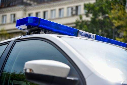 Panică în Arad: Tânăr amendat pentru plimbarea cu un pistol de jucărie în centrul orașului