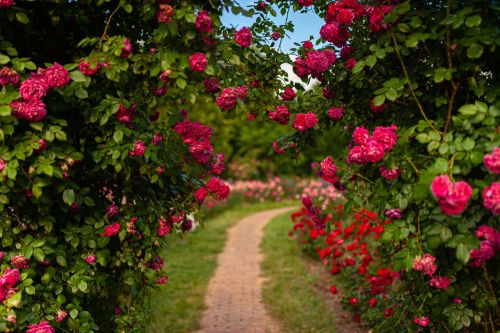 Descoperă cele mai tari activități pentru acest weekend: Unde să ieși în oraș