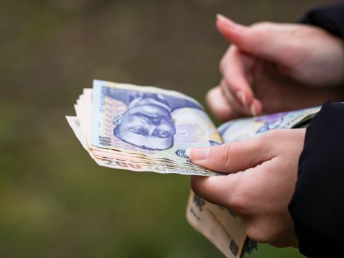 Patronii, obligați să majoreze salariul minim în 2024. Paradoxal, angajații vor lua în mână mai puțin decât acum