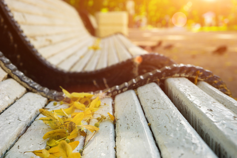 Echinocțiu de toamnă 2023. Începe toamna astronomică. Când se face trecerea la ora de iarnă