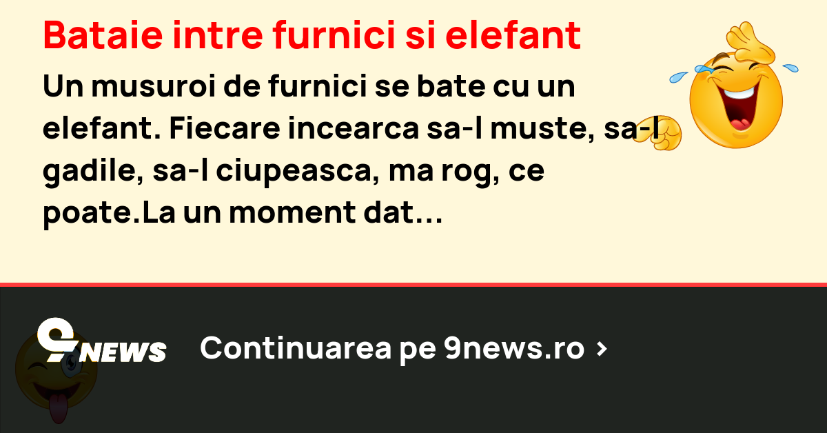 Bataie intre furnici si elefant