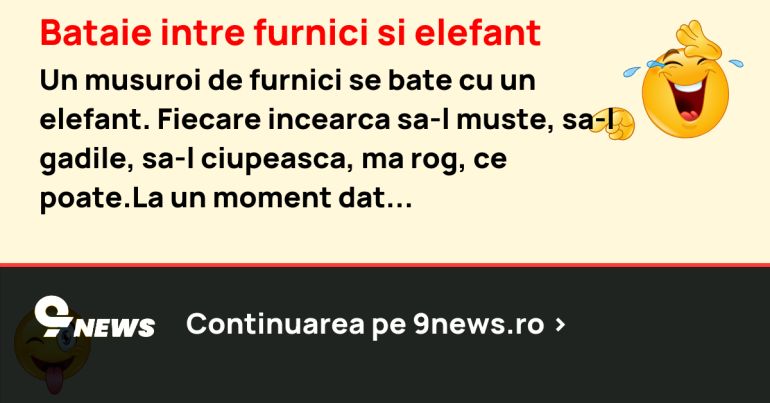 Bataie intre furnici si elefant