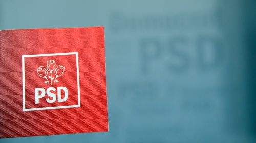 Rezultatele surprinzătoare ale exit-poll-ului: PSD domină votul politic în consiliile județene