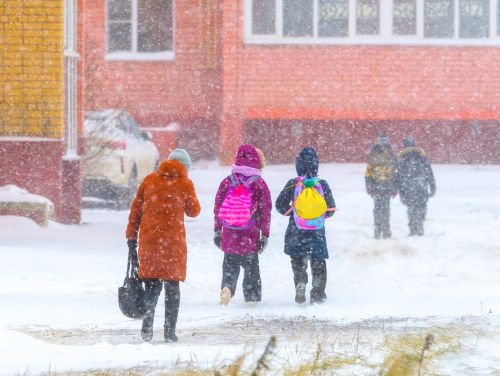Sute de școli din România au fost închise din cauza ninsorii și gerului. Anunțul făcut de Ministerul Educației