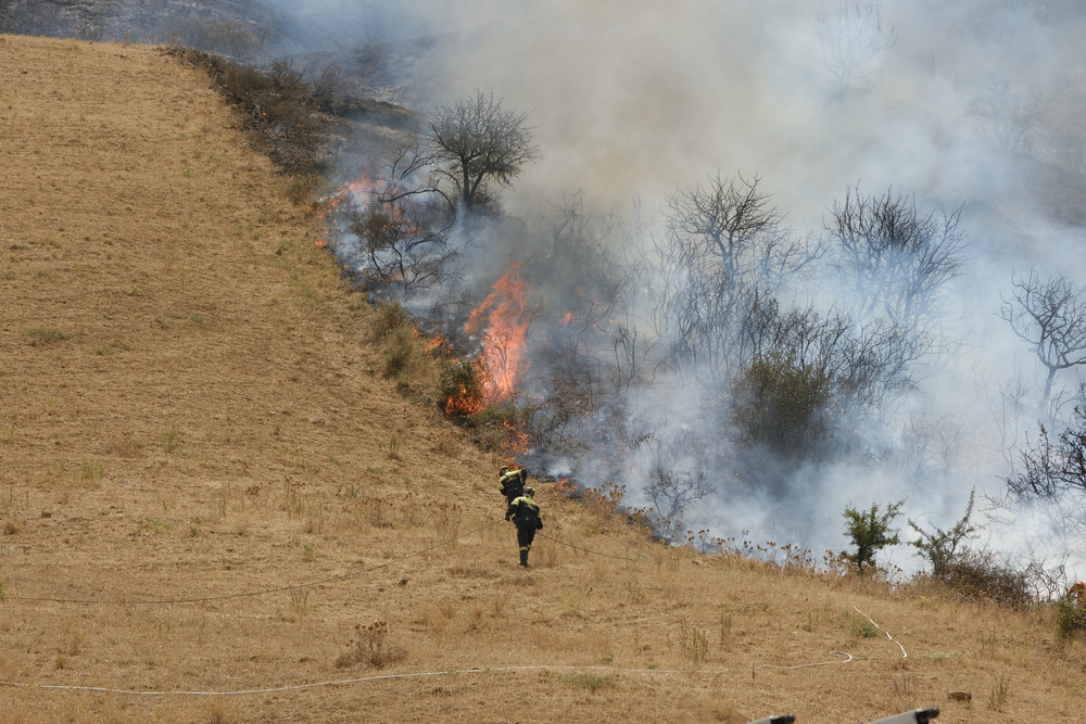 Incendii de vegetație în mai multe țări din Europa. Oamenii sunt evacuați de urgență din zonele de risc