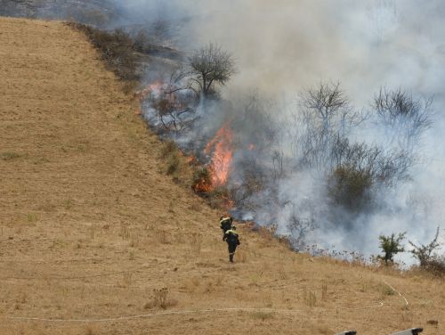 Incendii de vegetație în mai multe țări din Europa. Oamenii sunt evacuați de urgență din zonele de risc