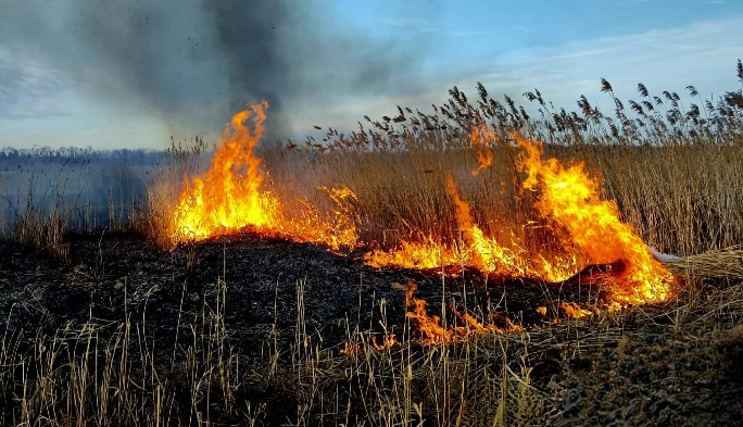 Incendiu pornit de la o țigară aruncată la întâmplare, în Giurgiu. Cinci hectare de vegetație s-au făcut scrum