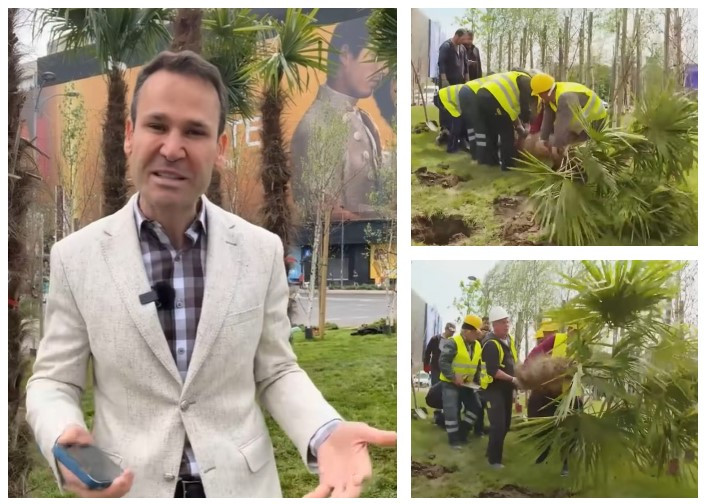 Unde au ajuns palmierii plantați de Robert Negoiță la Unirii și scoși de Nicușor Dan. Primarul Sectorului 3: „De-aia am adus, că nu s-a mai văzut”