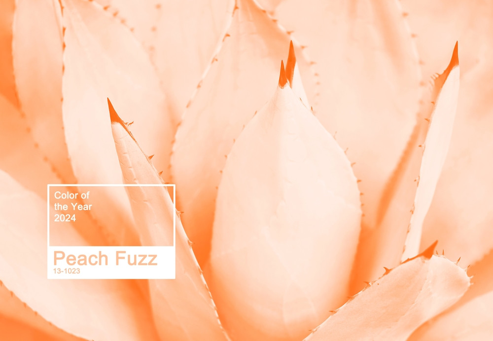 „Peach Fuzz” este culoarea anului 2024. Ce semnificație are această nuanță