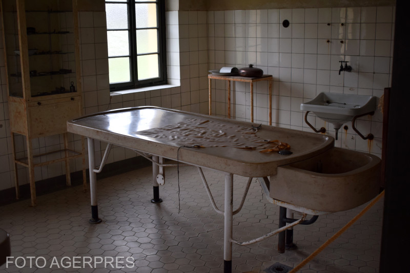 Primele rezultate ale autopsiei în cazul pacienţilor morţi de la Spitalul de Psihiatrie Murgeni. De ce au murit după ce au mâncat Pangasius