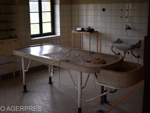 Primele rezultate ale autopsiei în cazul pacienţilor morţi de la Spitalul de Psihiatrie Murgeni. De ce au murit după ce au mâncat Pangasius