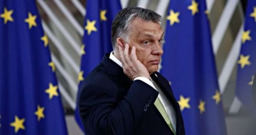 Vizita surpriză a lui Viktor Orban la Zelenski: Ce au discutat cei doi lideri?