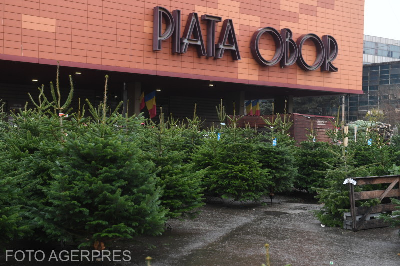 Cât costă în acest an bradul de Crăciun. Prețurile vor crește treptat