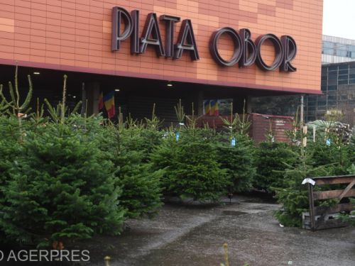 Cât costă în acest an bradul de Crăciun. Prețurile vor crește treptat
