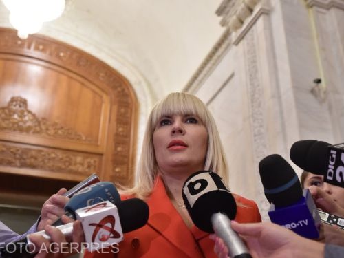 Elena Udrea, prim verdict în dosarul Hidroelectrica: faptele s-au prescris. I se confiscă 3,4 milioane de euro