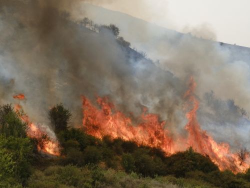 MAE: Atenționare de călătorie pentru Italia. S-a emis Cod portocaliu de producere a incendiilor de vegetaţie