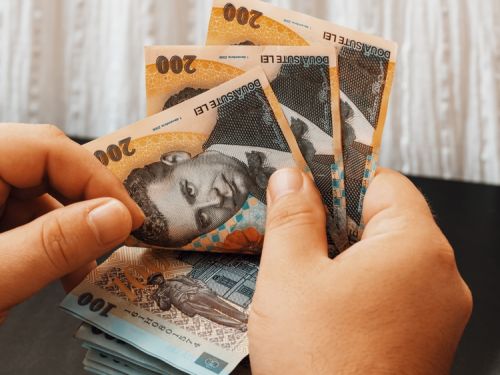 Buget pe 2024: Cum au împărțit guvernanții banii românilor. Au dat cu o mână și au luat cu alta