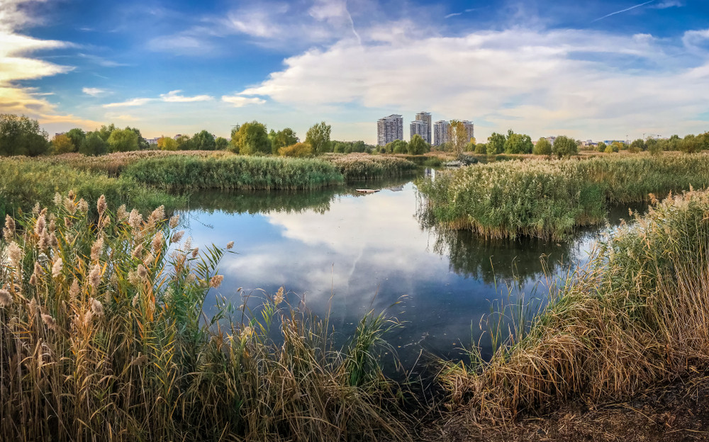 Începe programul Vară Verde în Parcul Natural Văcăreşti. Ce evenimente vor avea loc în lunile iulie și august