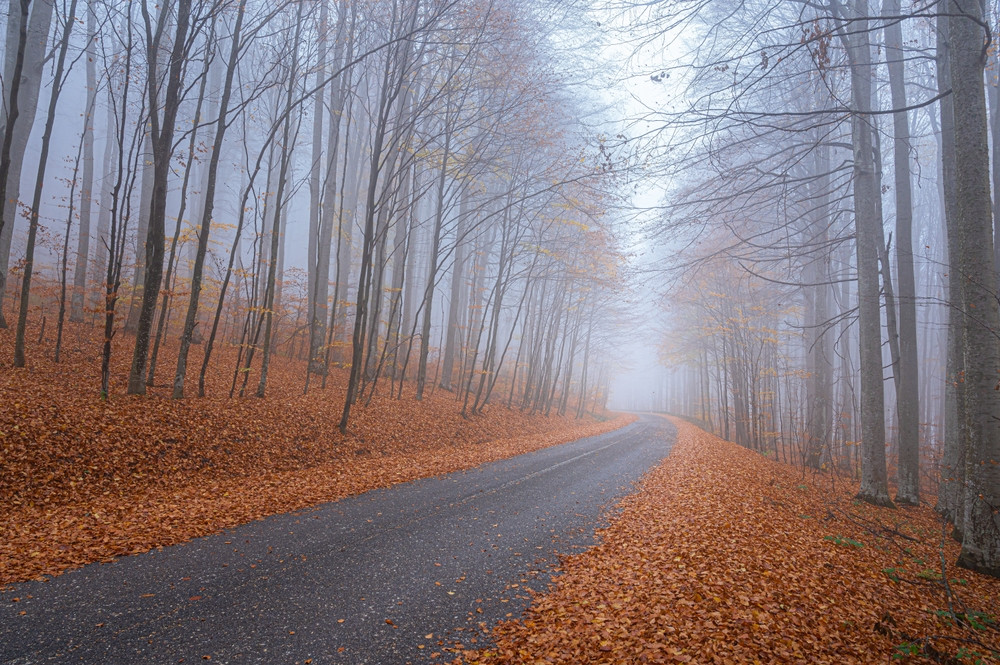 Vremea 13 noiembrie - 11 decembrie 2023. ANM anunță că se va răci în toată țara; la munte vor fi ninsori și viscol